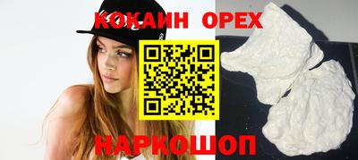 сатива Кандалакша