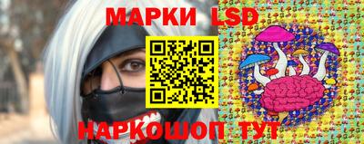 сатива Кандалакша