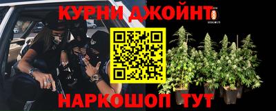 сатива Кандалакша