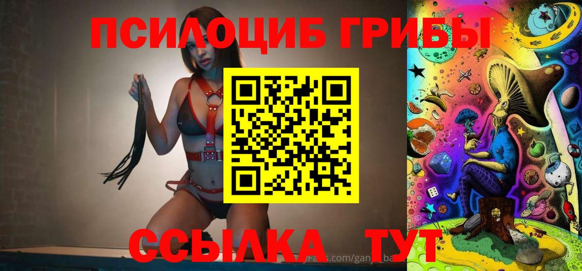 Павлово  как найти   Вход с VPN  Галлюциногенные грибы мухоморы 